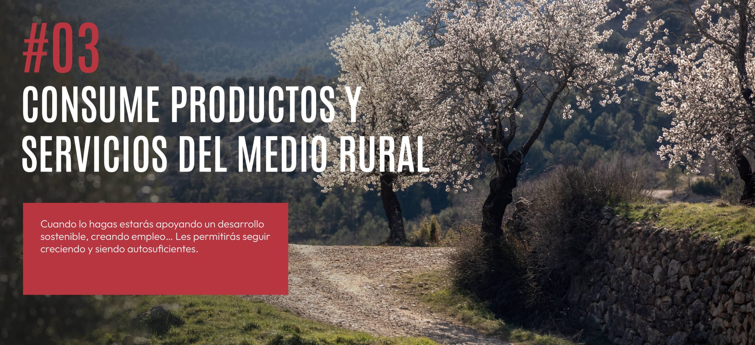 03Guia-del-buen-visitante
