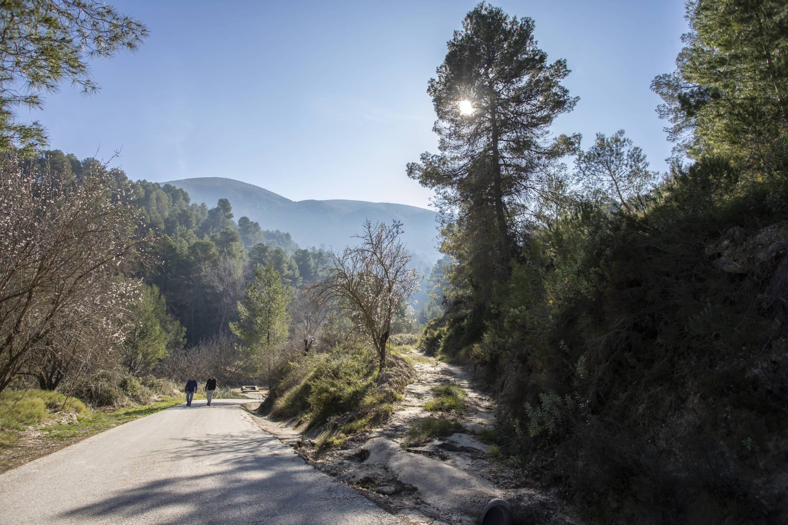 2 Benillup - Ruta99 Carrusel