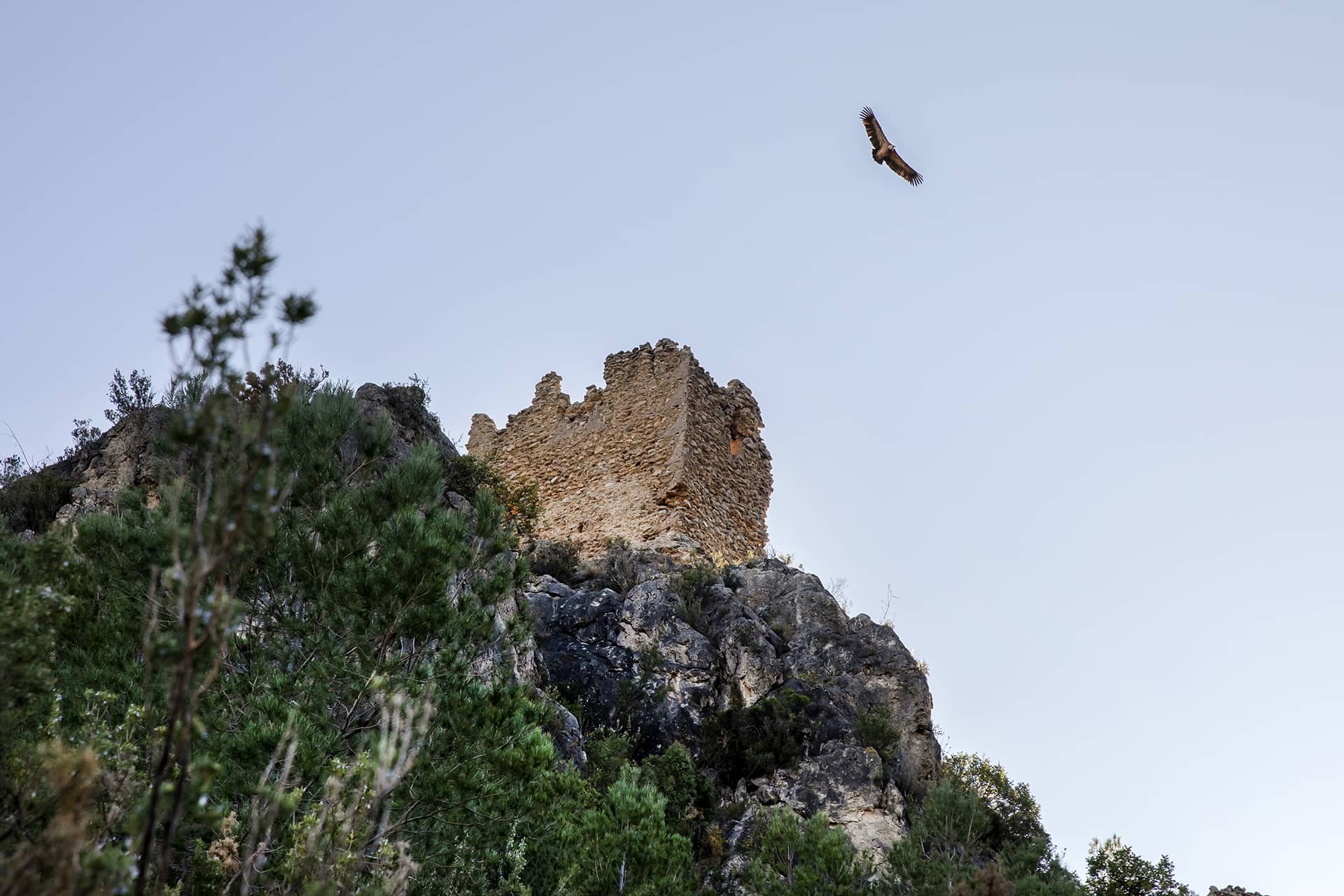 Espadilla_Ruta99_607