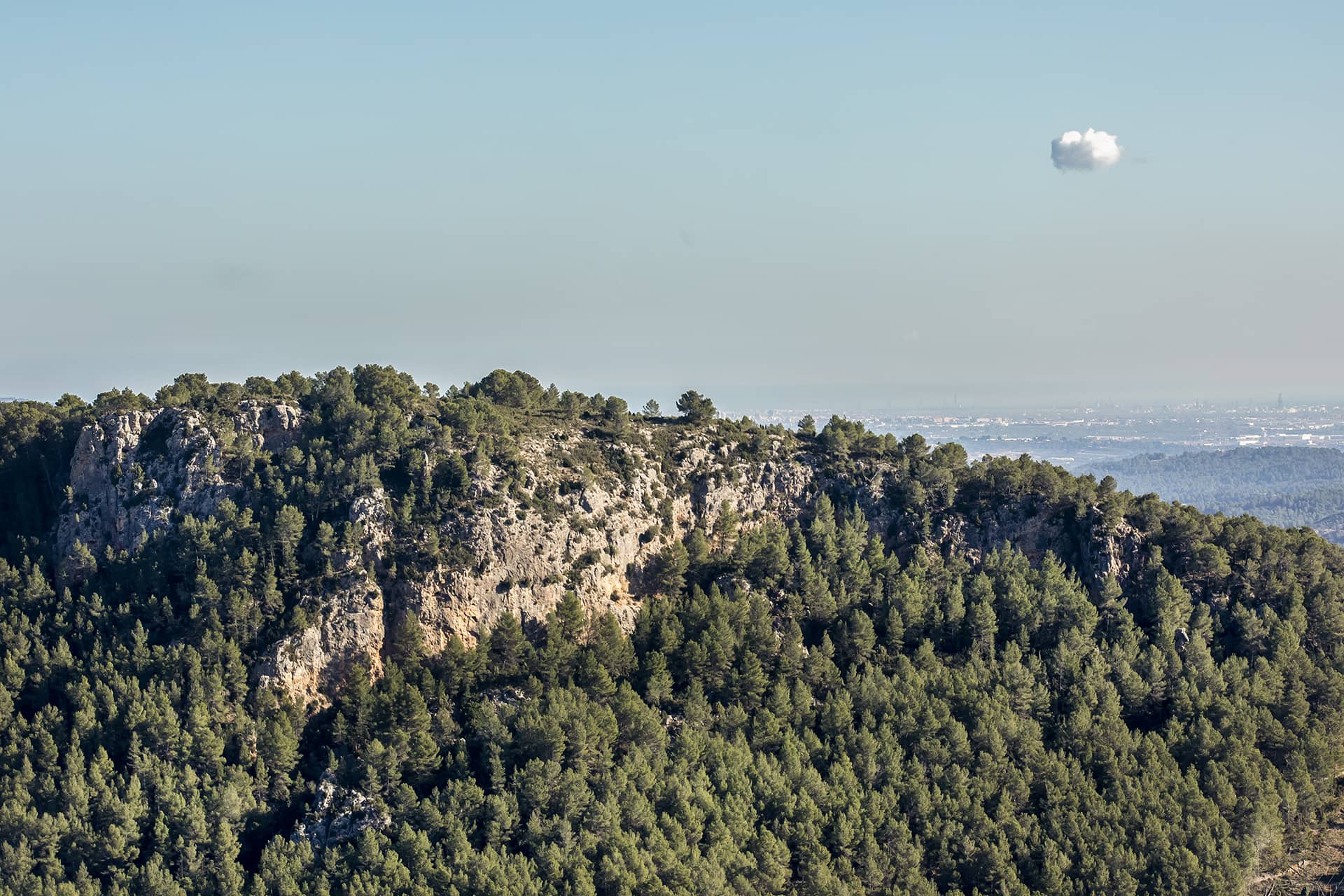 Espadilla_Ruta99_635