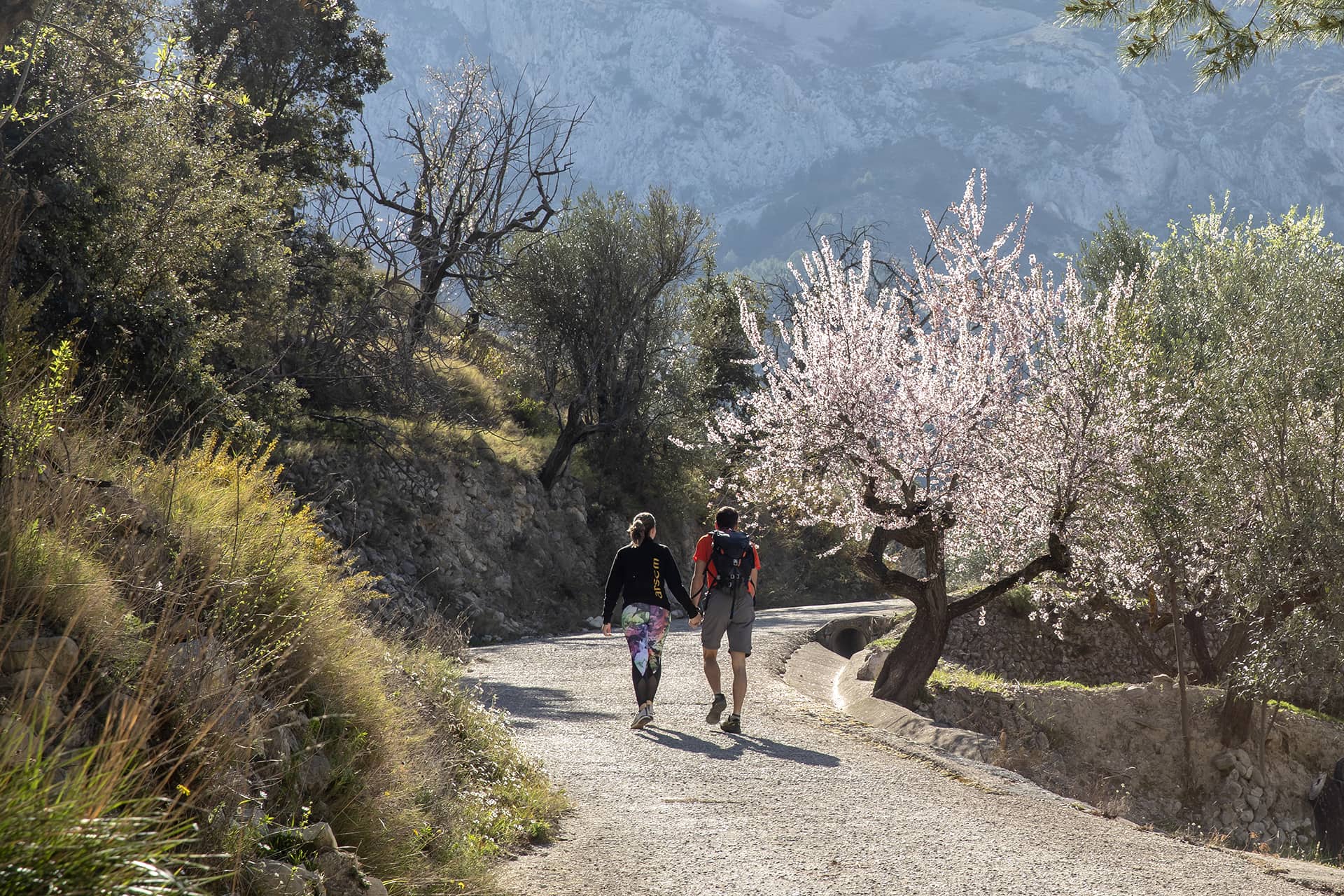 Famorca_Ruta99_9150