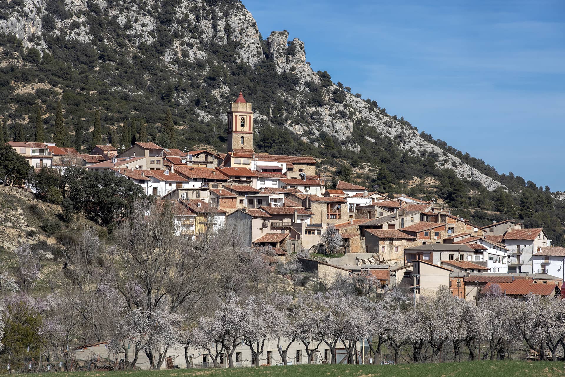 Herbes_Ruta99_12791