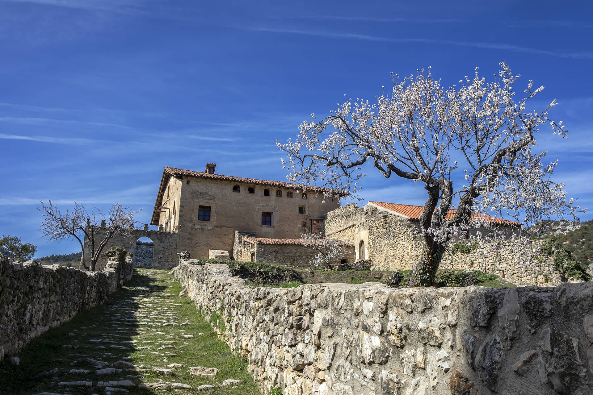 Herbes_Ruta99_12824