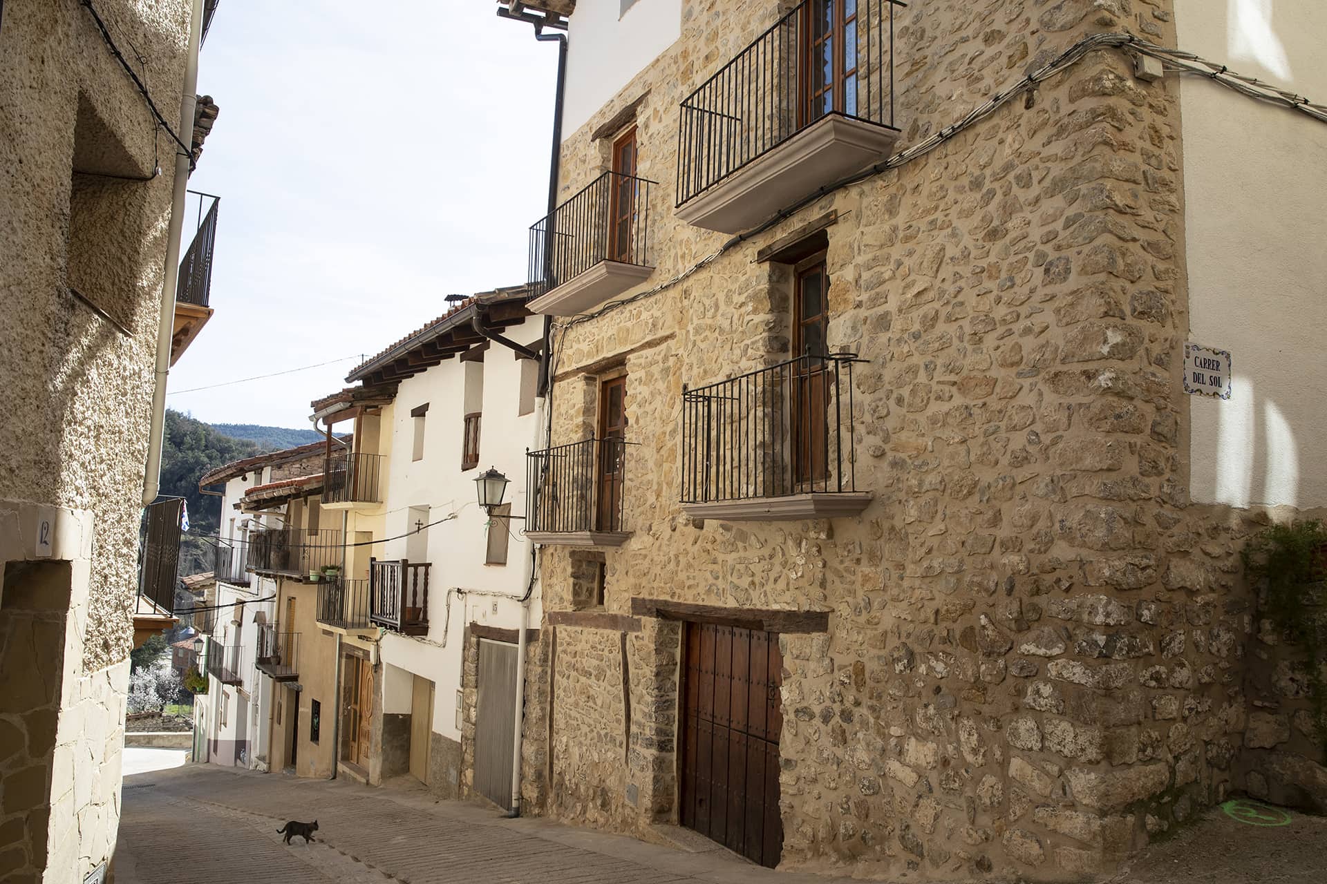 Herbes_Ruta99_12964