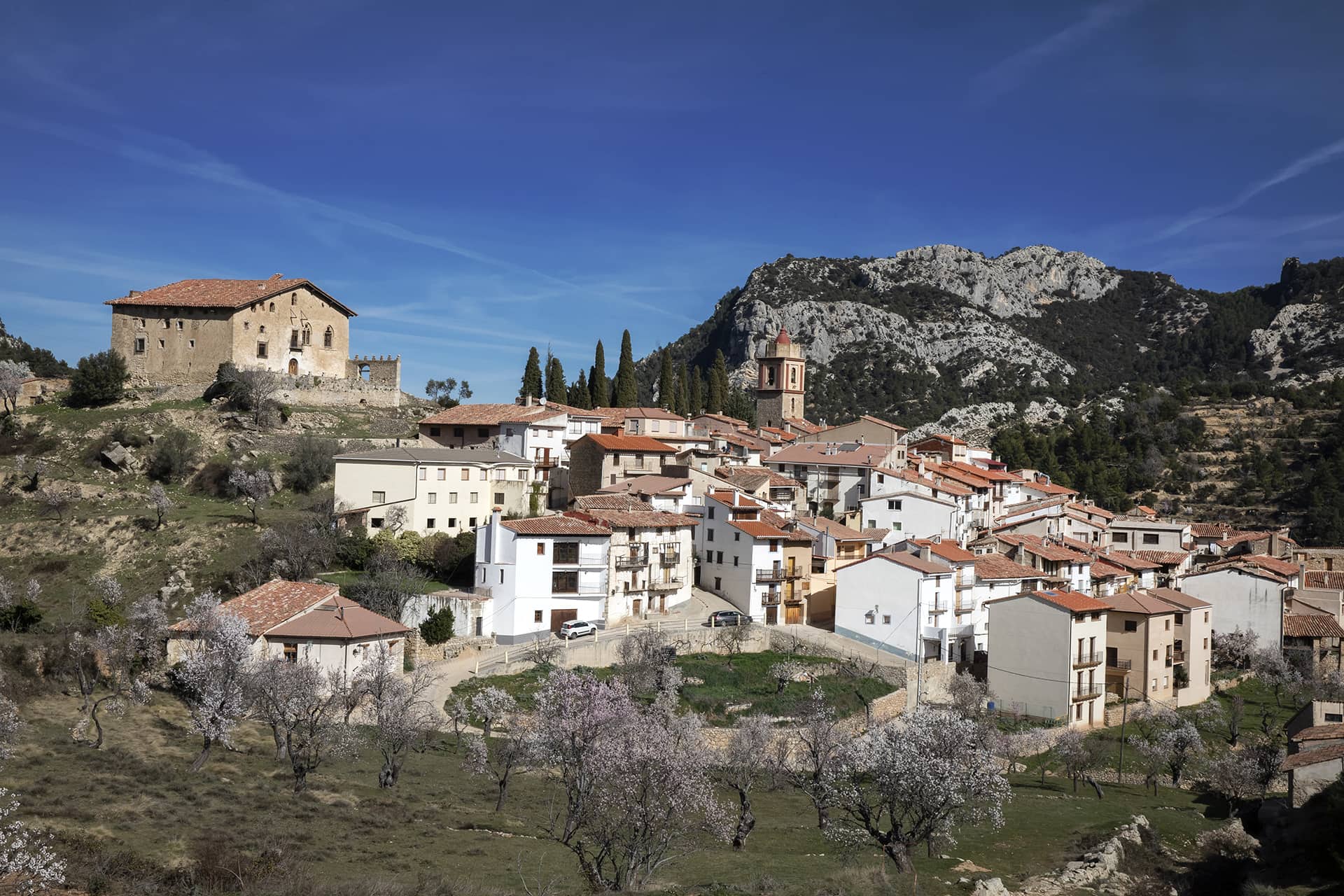 Herbes_Ruta99_13067