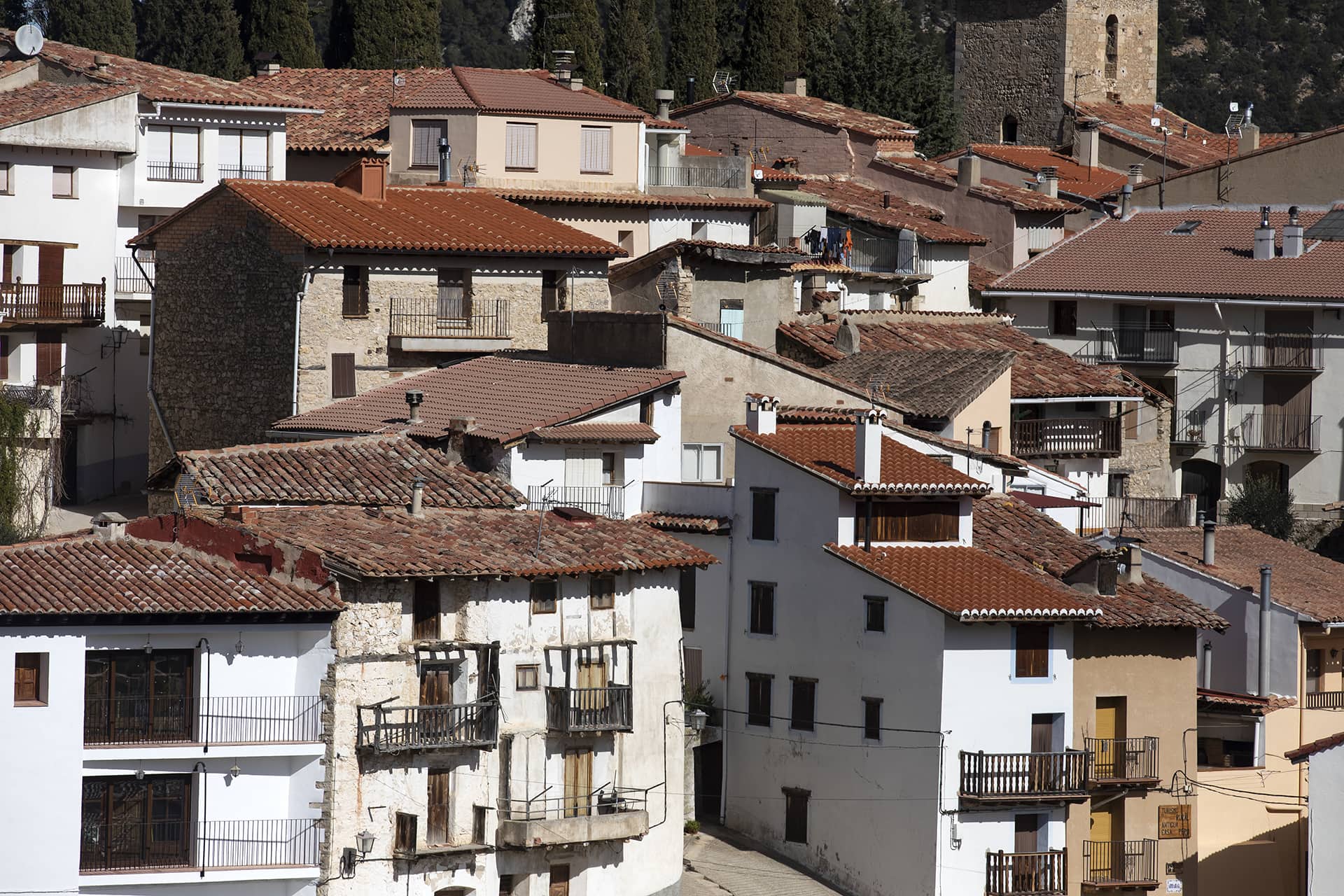 Herbes_Ruta99_13086