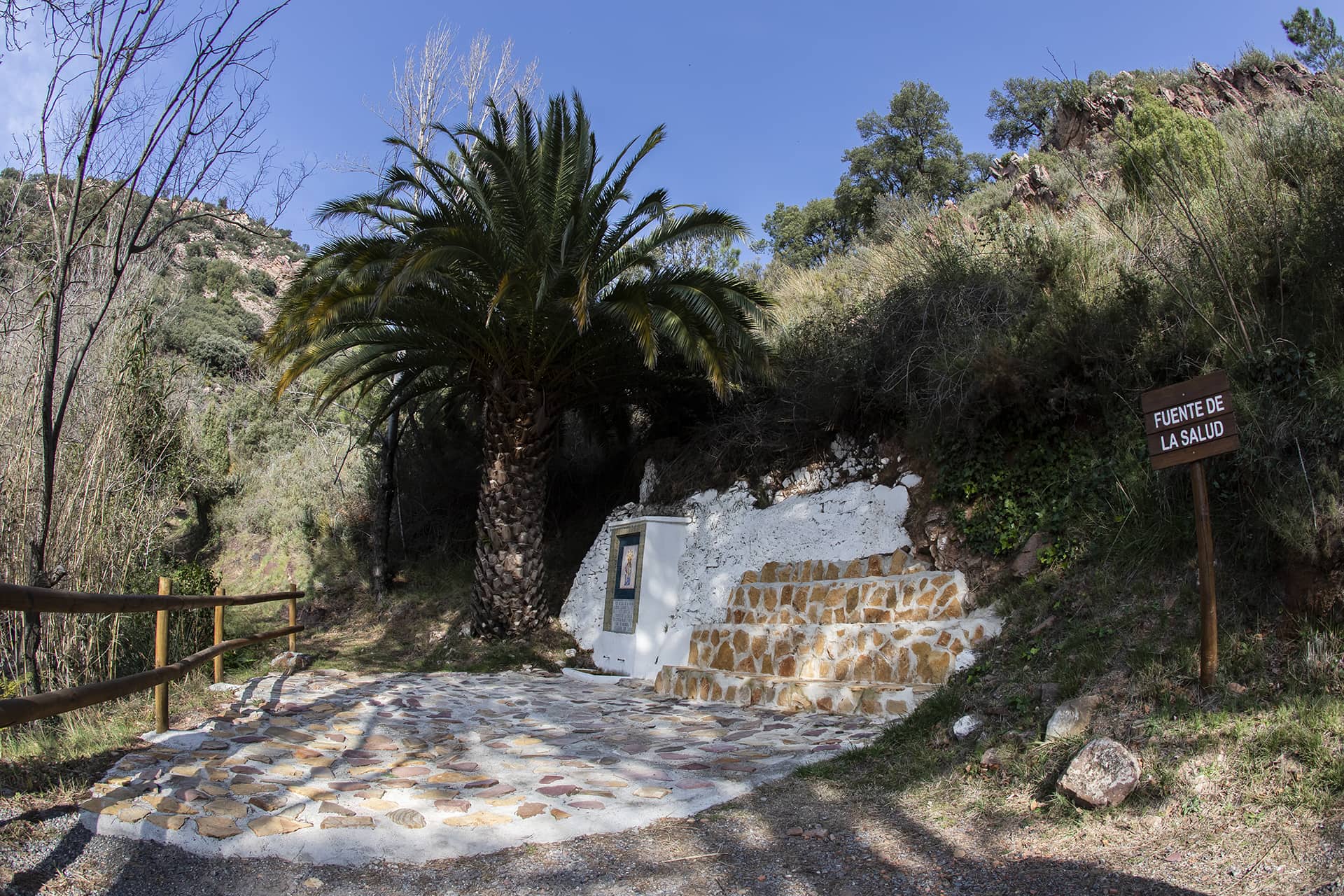 Higueas_Ruta99_5701