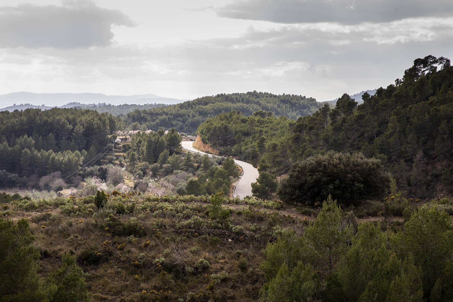 Higueas_Ruta99_5882