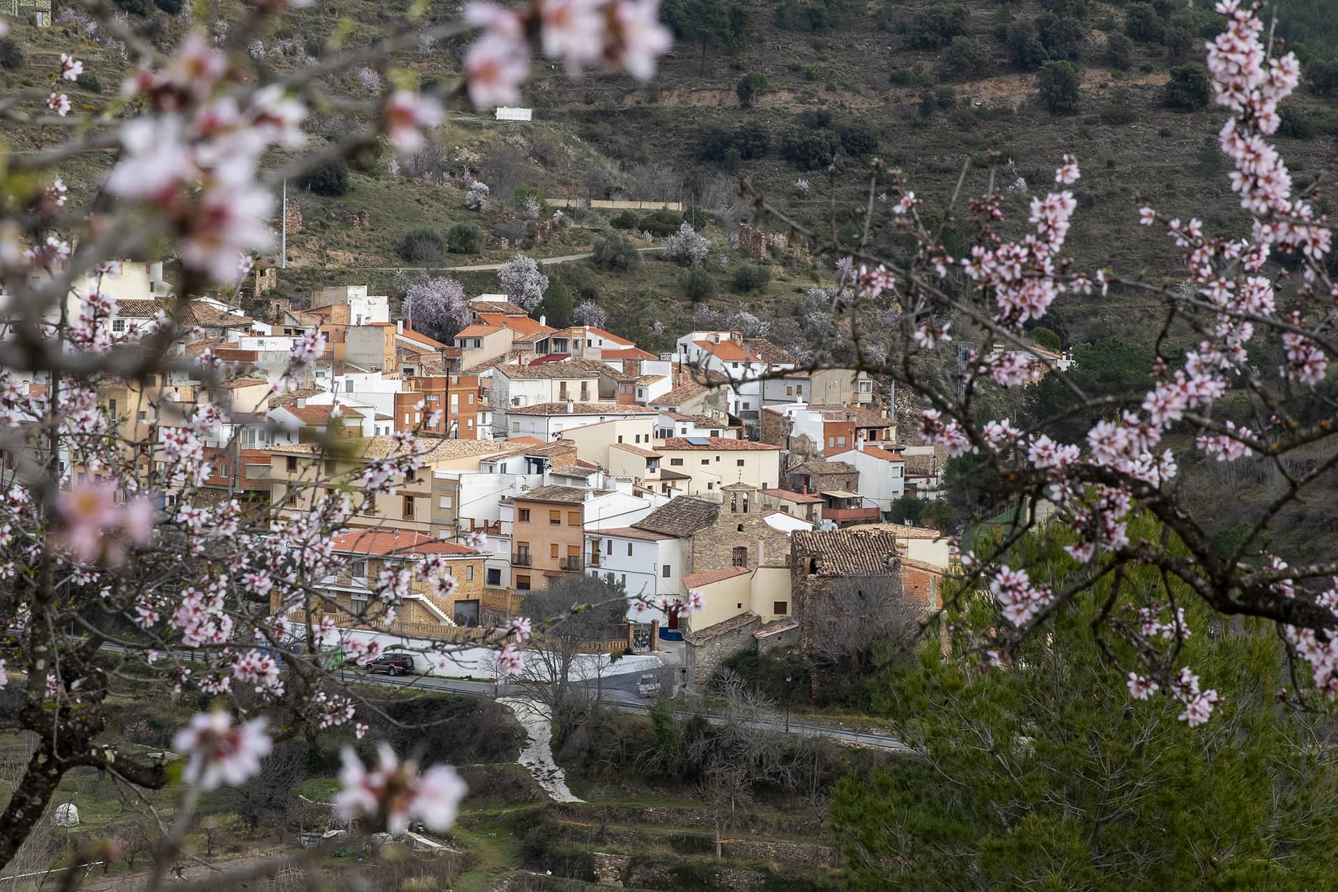 Higueas_Ruta99_5899